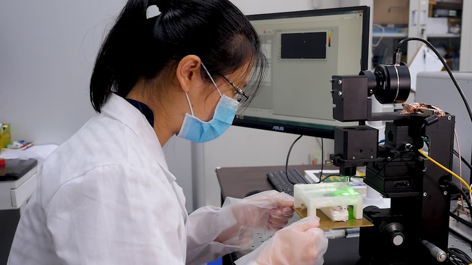 Dual Raster-Scanning Photoacoustic Small-Animal Imager for Vascular Visualization