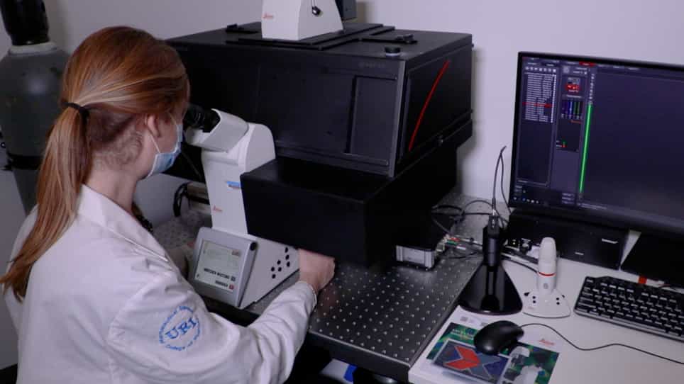 Histological-Based Stainings Using Free-Floating Tissue Sections