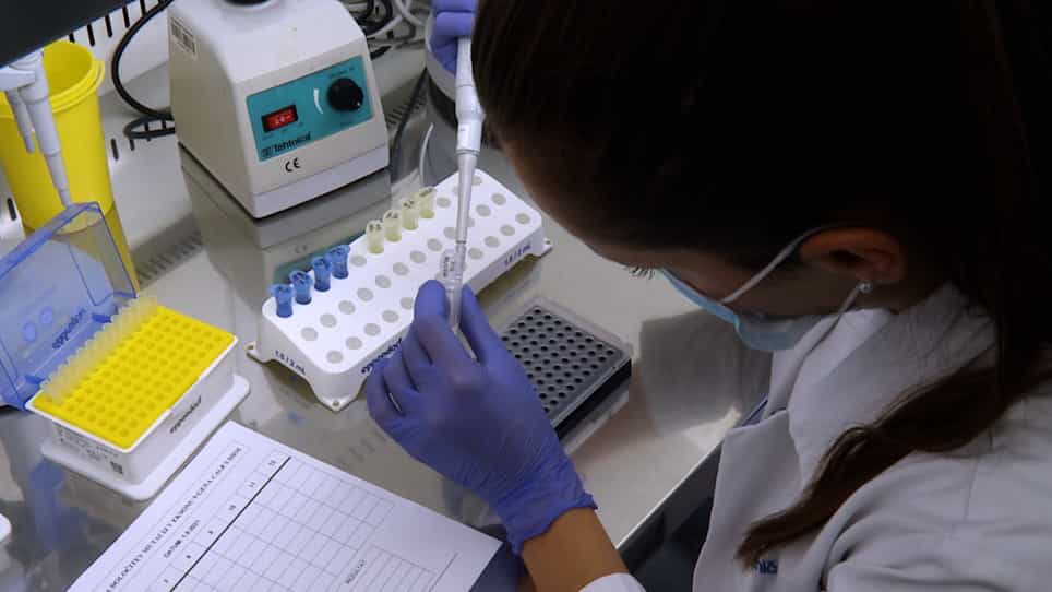 Genetic Variant Detection in the CALR gene using High Resolution Melting Analysis