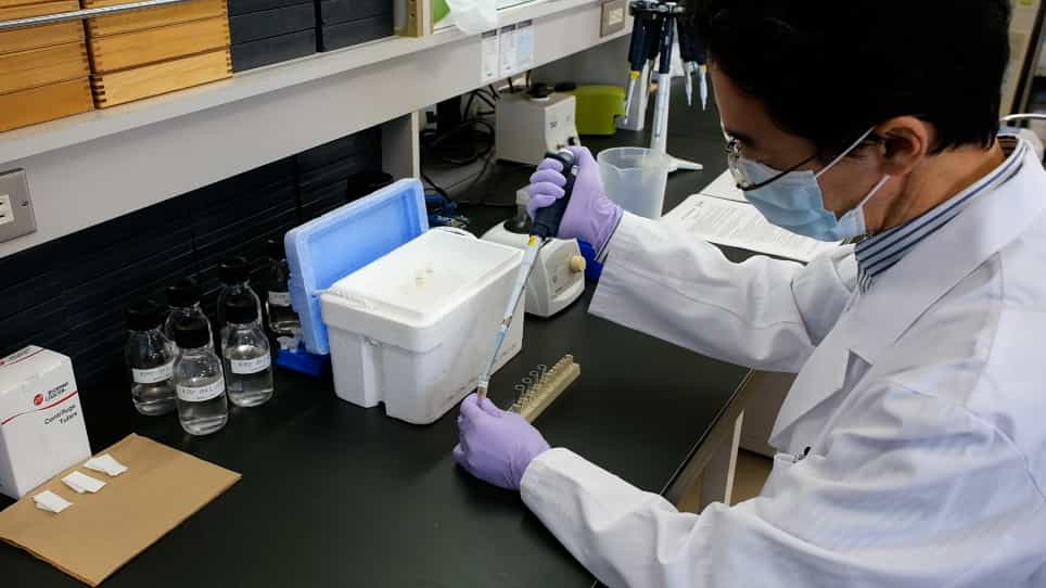 Isolation and Analysis of Plasma Lipoproteins by Ultracentrifugation