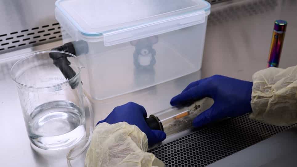 Cigarette Smoke Exposure in Mice using a Whole-Body Inhalation System