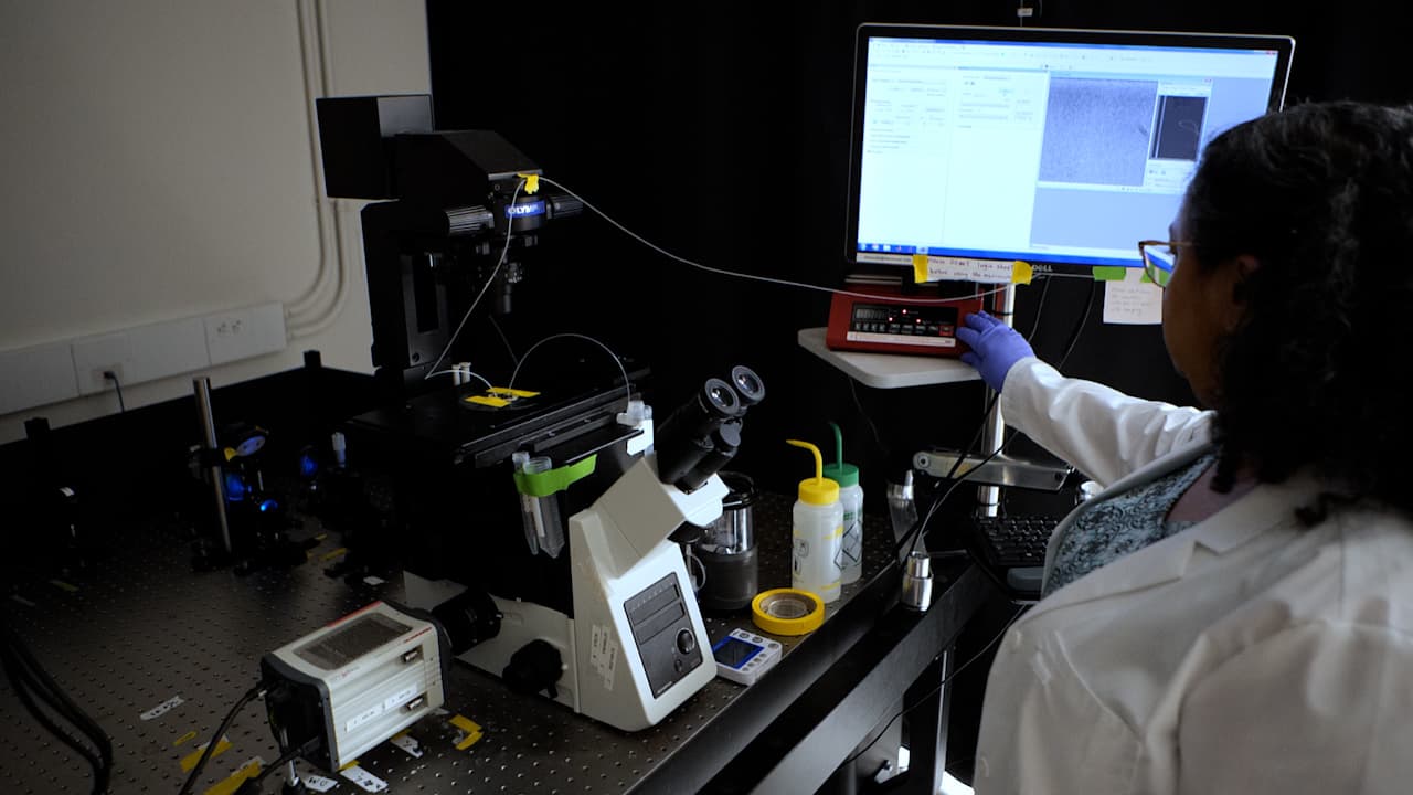 Single-Molecule Dwell-Time Analysis of Restriction Endonuclease-Mediated DNA Cleavage
