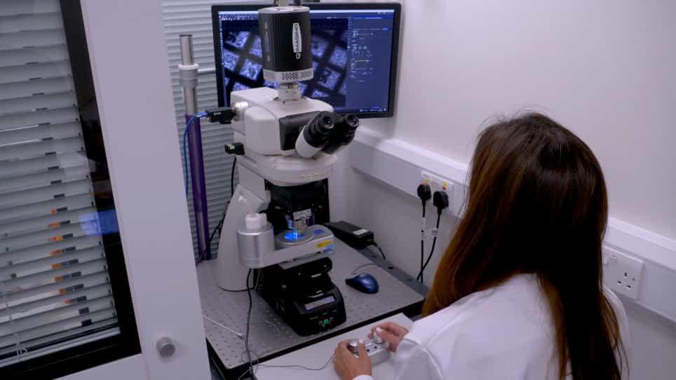 Preparing Lamellae from Vitreous Biological Samples Using a Dual-Beam Scanning Electron Microscope for Cryo-Electron Tomography