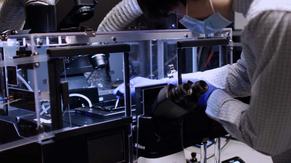 Laser Micro-Irradiation to Study DNA Recruitment During S Phase