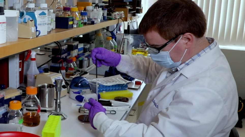 Establishing Stable Binary Cultures of Symbiotic Saccharibacteria from the Oral Cavity