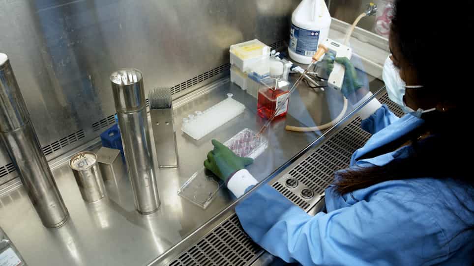 Detection of SARS-CoV-2 Receptor-Binding Domain Antibody using a HiBiT-Based Bioreporter
