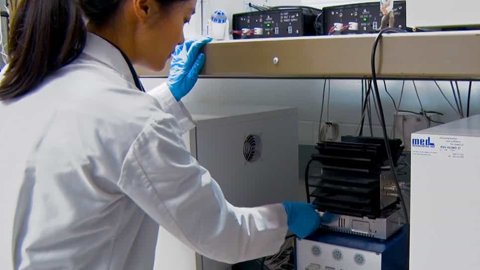 Investigating Migraine-Like Behavior Using Light Aversion in Mice