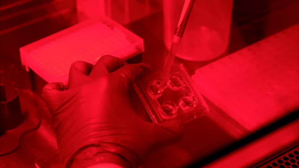 Bioluminescent Optogenetics 2.0: Harnessing Bioluminescence to Activate Photosensory Proteins In Vitro and In Vivo