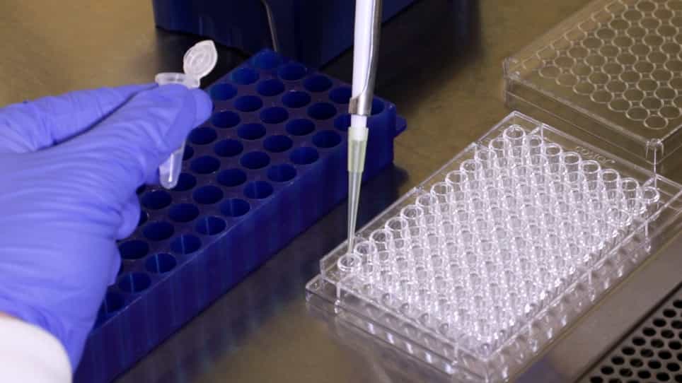 Flow Cytometric Analysis for Identification of the Innate and Adaptive Immune Cells of Murine Lung