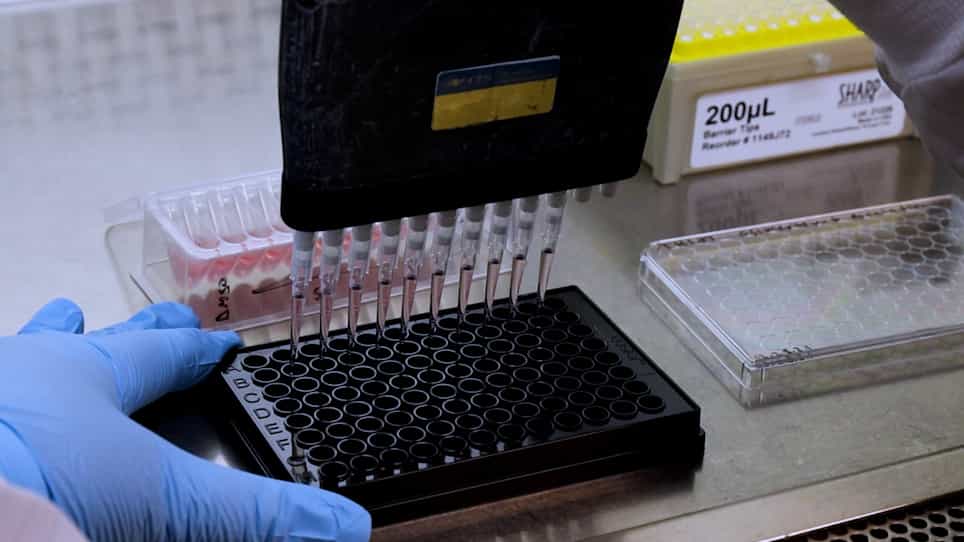 Profiling Sensitivity to Targeted Therapies in EGFR-Mutant NSCLC Patient-Derived Organoids