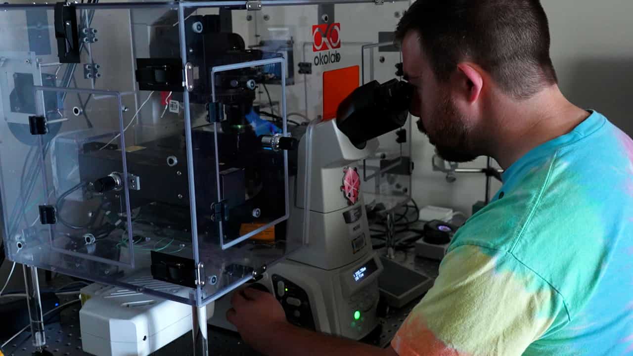 Classification of Neural Stem Cell Activation State In Vitro using Autofluorescence