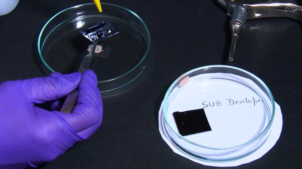 A Simple Microfluidic Chip for Long-Term Growth and Imaging of Caenorhabditis elegans