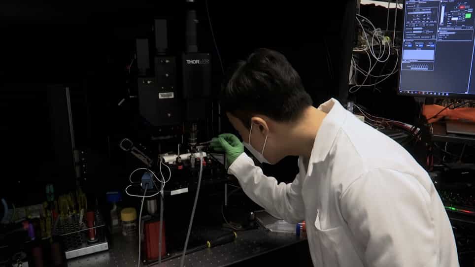 Deep-Tissue Three-Photon Fluorescence Microscopy in Intact Mouse and Zebrafish Brain