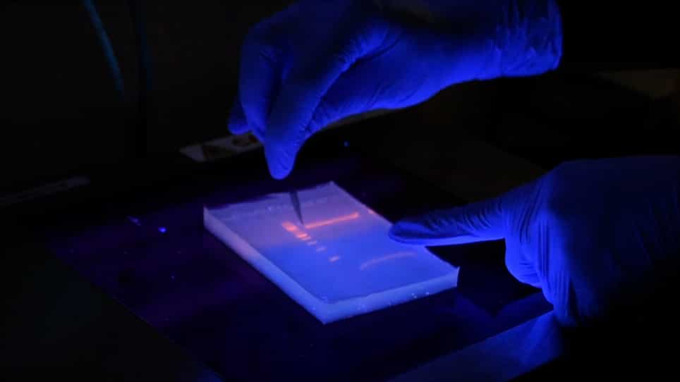 Pooled shRNA Library Screening to Identify Factors that Modulate a Drug Resistance Phenotype