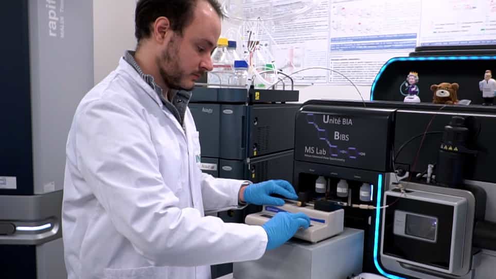 Using a Cyclic Ion Mobility Spectrometer for Tandem Ion Mobility Experiments