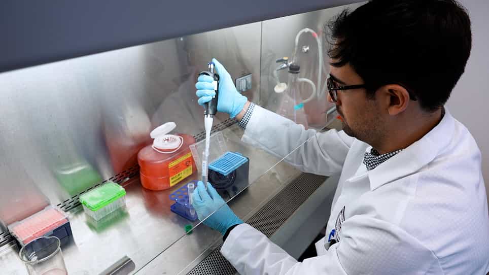Analyses of Proteinuria, Renal Infiltration of Leukocytes, and Renal Deposition of Proteins in Lupus-prone MRL/lpr Mice