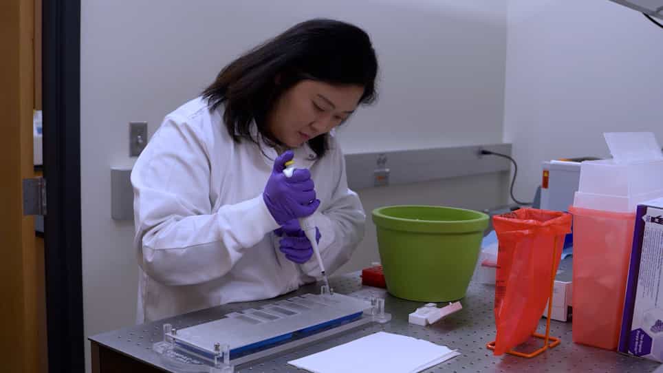 A High-Throughput Comet Assay Approach for Assessing Cellular DNA Damage