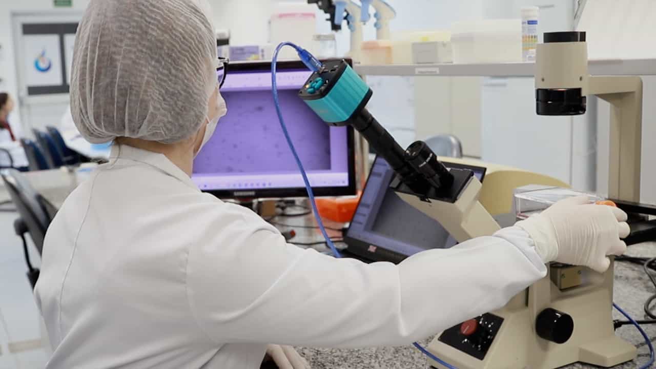 Generation of Tissue Spheroids via a 3D Printed Stamp-Like Device