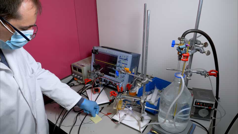 Preparation of Rat Sciatic Nerve for Ex Vivo Neurophysiology