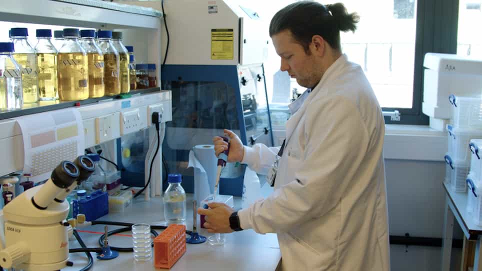High-Throughput Screening of Microbial Isolates with Impact on Caenorhabditis elegans Health