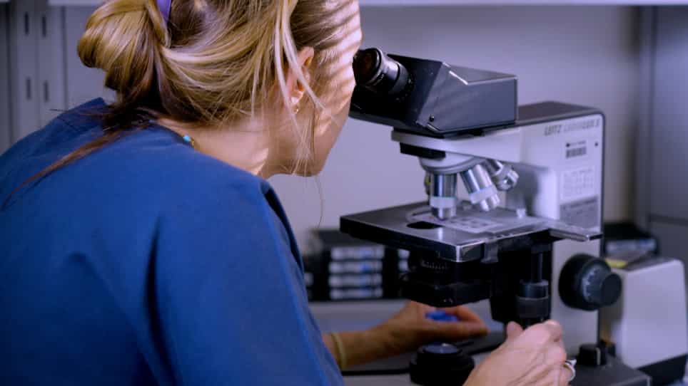 Biobank for Translational Medicine: Standard Operating Procedures for Optimal Sample Management