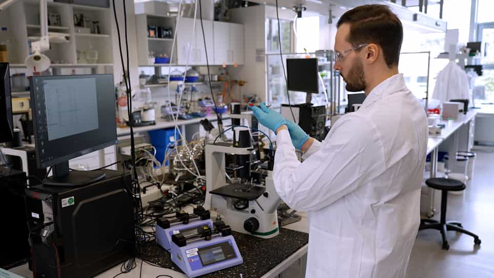 Interlinked Macroporous 3D Scaffolds from Microgel Rods