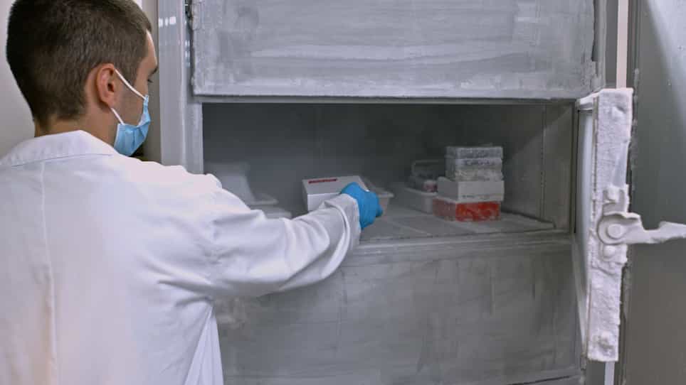 A Standardized Liquid Biopsy Preanalytical Protocol for Downstream Circulating-Free DNA Applications