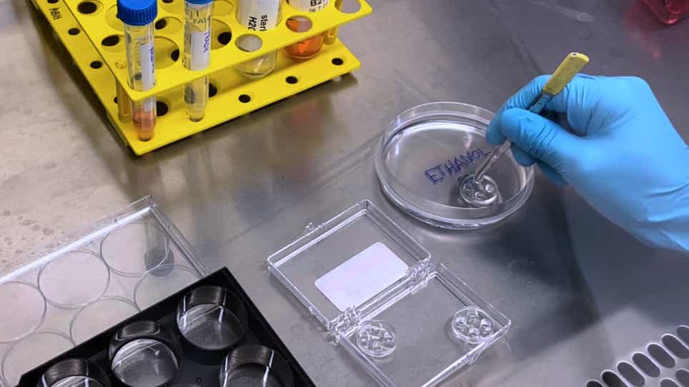 Microfluidics-Assisted Selective Depolarization of Axonal Mitochondria