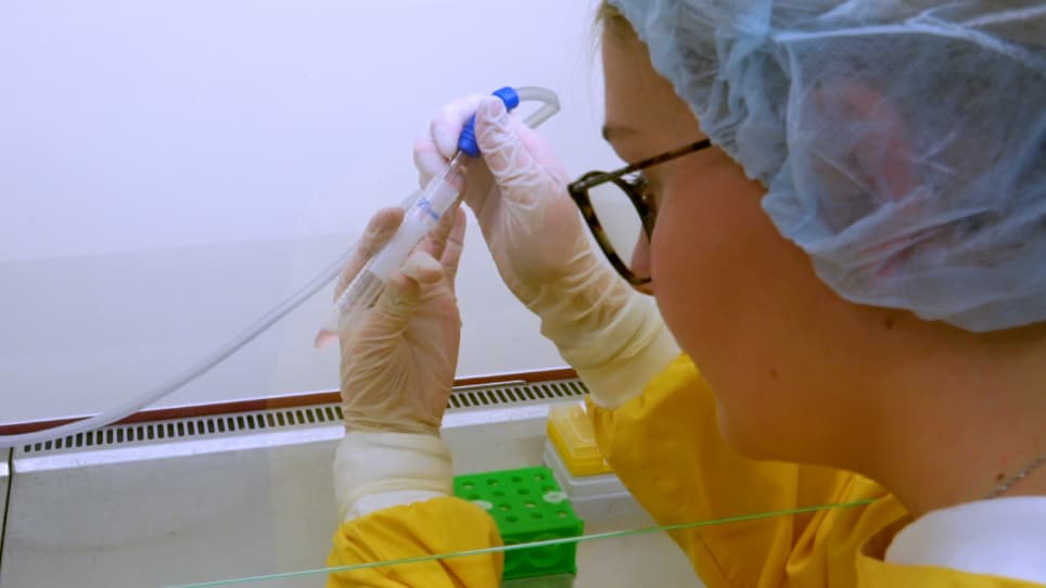 Transplantation of Human Stem Cell-Derived GABAergic Neurons into the Early Postnatal Mouse Hippocampus to Mitigate Neurodevelopmental Disorders