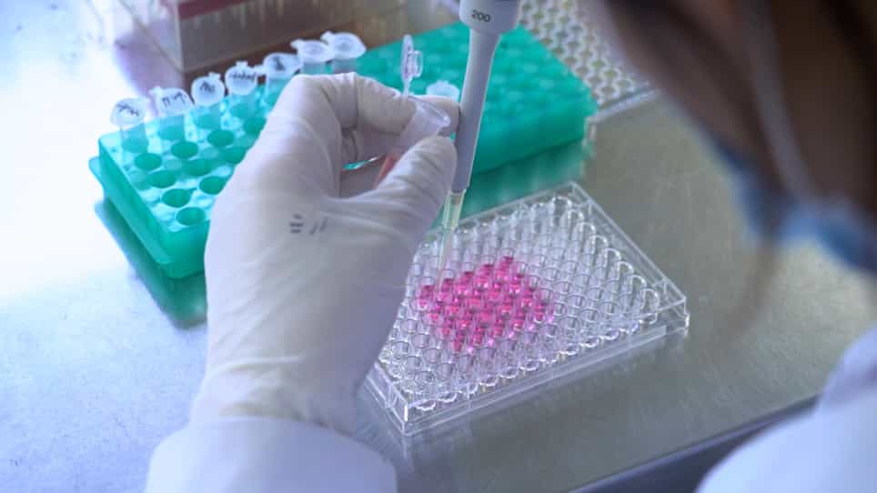 Efficient Transfection of In vitro Transcribed mRNA in Cultured Cells Using Peptide-Poloxamine Nanoparticles