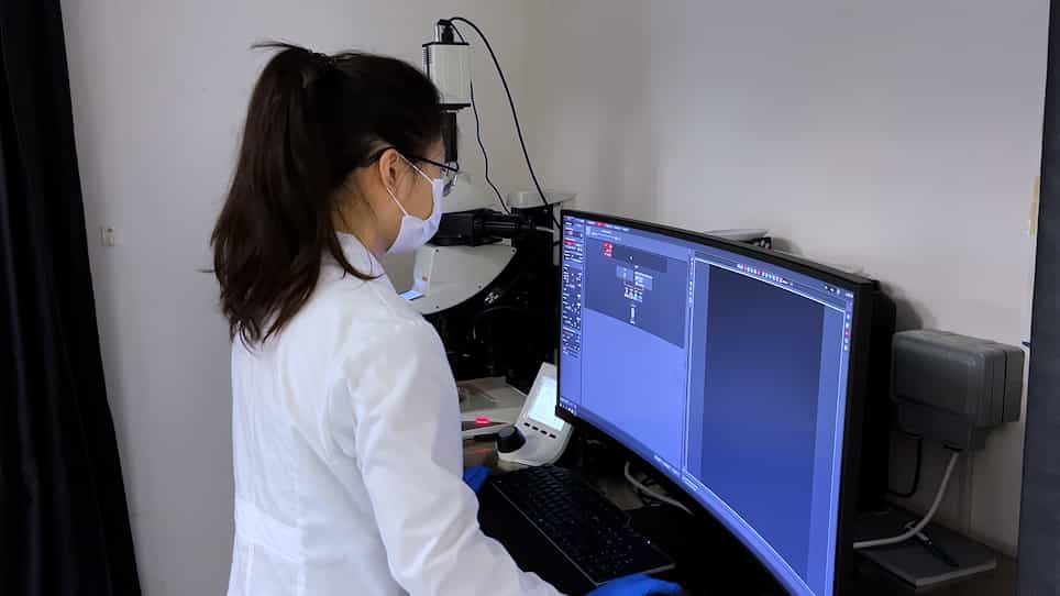 Brain Ventricular Microinjections of Lipopolysaccharide into Larval Zebrafish to Assess Neuroinflammation and Neurotoxicity