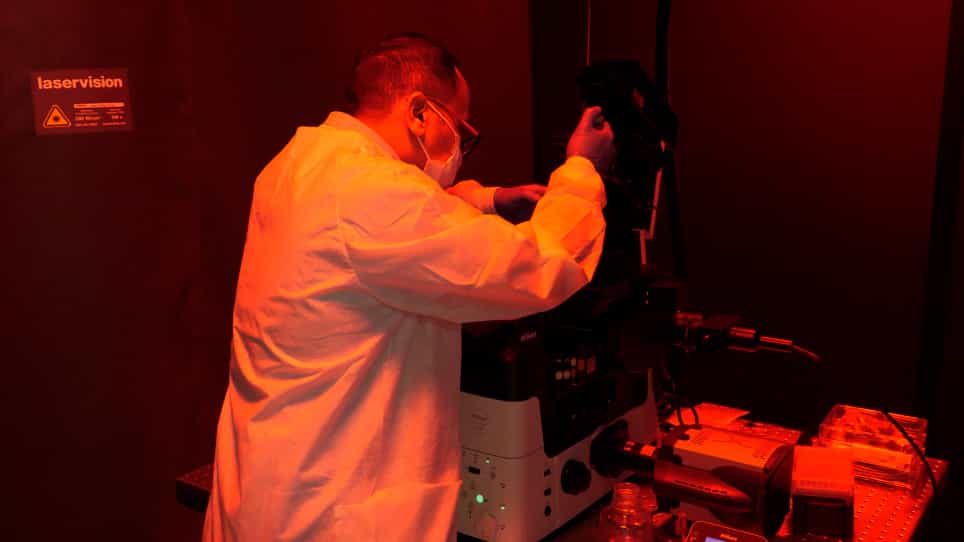 Super-Resolution Imaging of Bacterial Secreted Proteins Using Genetic Code Expansion