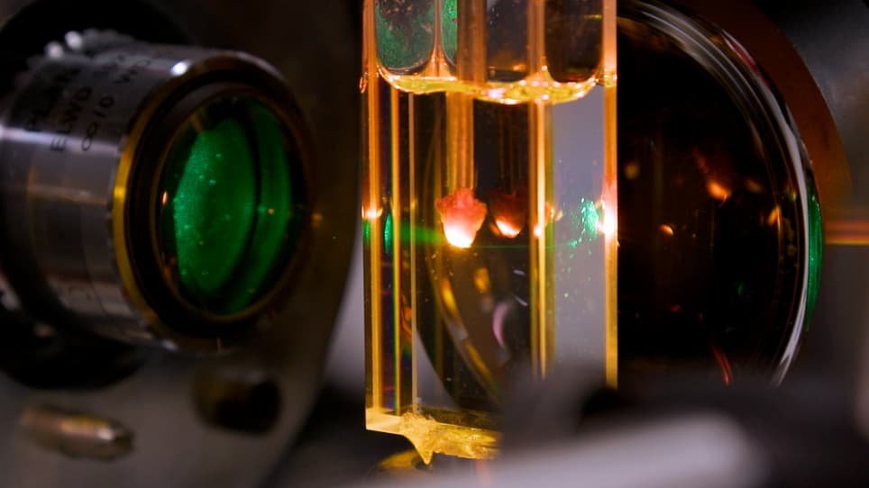 Imaging the Aging Cochlea with Light-Sheet Fluorescence Microscopy