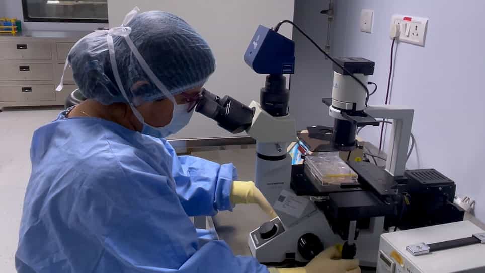 Generation of Retinal Organoids from Healthy and Retinal Disease-Specific Human-Induced Pluripotent Stem Cells