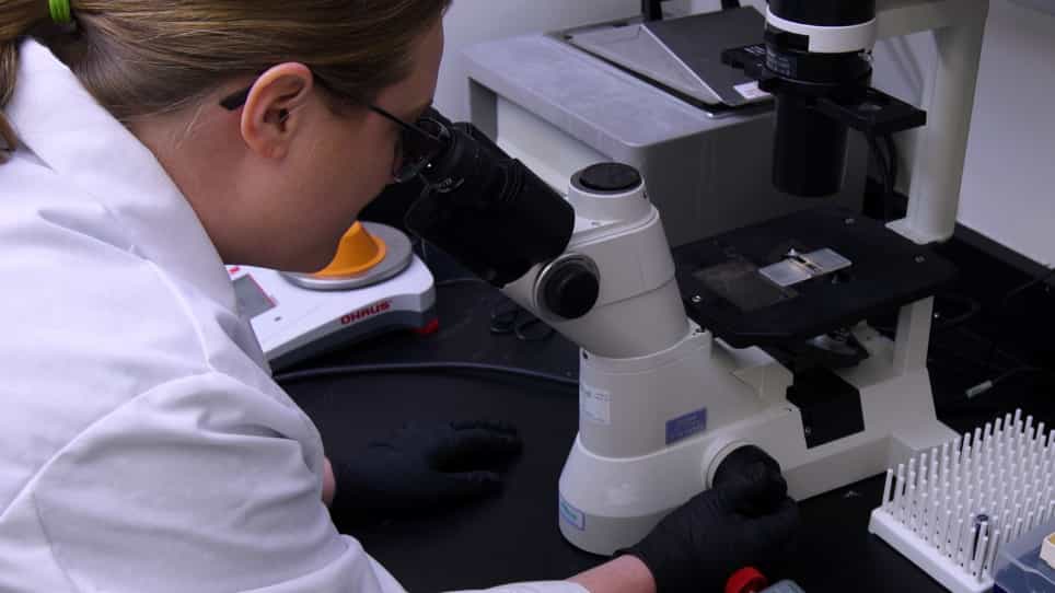 Testing Cancer Immunotherapeutics in a Humanized Mouse Model Bearing Human Tumors