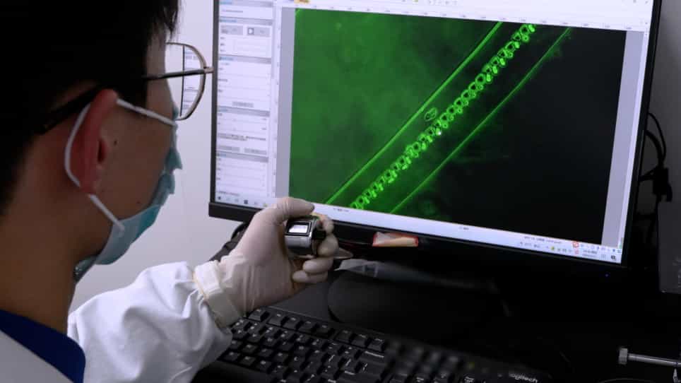 Clinical Microfluidic Chip Platform for the Isolation of Versatile Circulating Tumor Cells