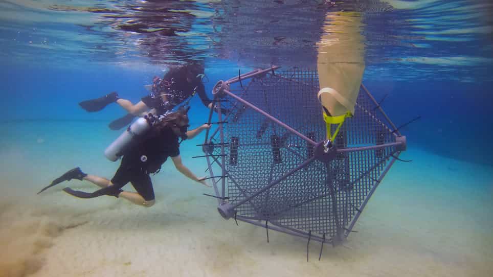 Coral Reef Arks: An In Situ Mesocosm and Toolkit for Assembling Reef Communities