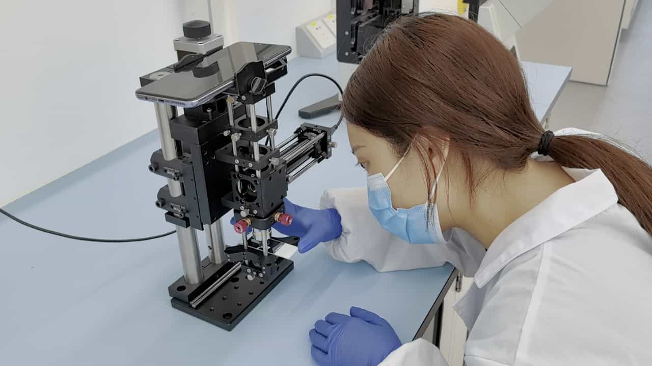 DNA Virus Detection System Based on RPA-CRISPR/Cas12a-SPM and Deep Learning