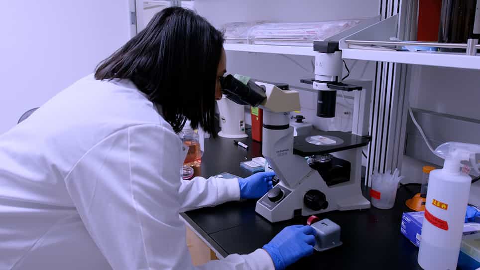Quantifying Replication Stress in Ovarian Cancer Cells Using Single-Stranded DNA Immunofluorescence