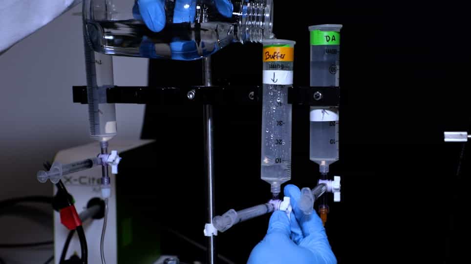 Automated Multimodal Stimulation and Simultaneous Neuronal Recording from Multiple Small Organisms
