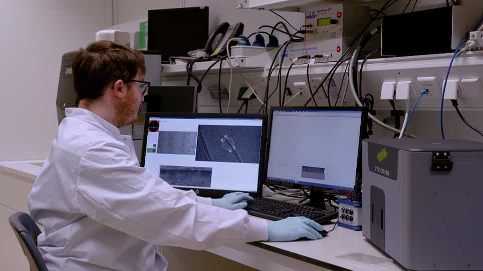 High-Throughput Contractile Measurements of Hydrogel-Embedded Intact Mouse Muscle Fibers Using an Optics-Based System