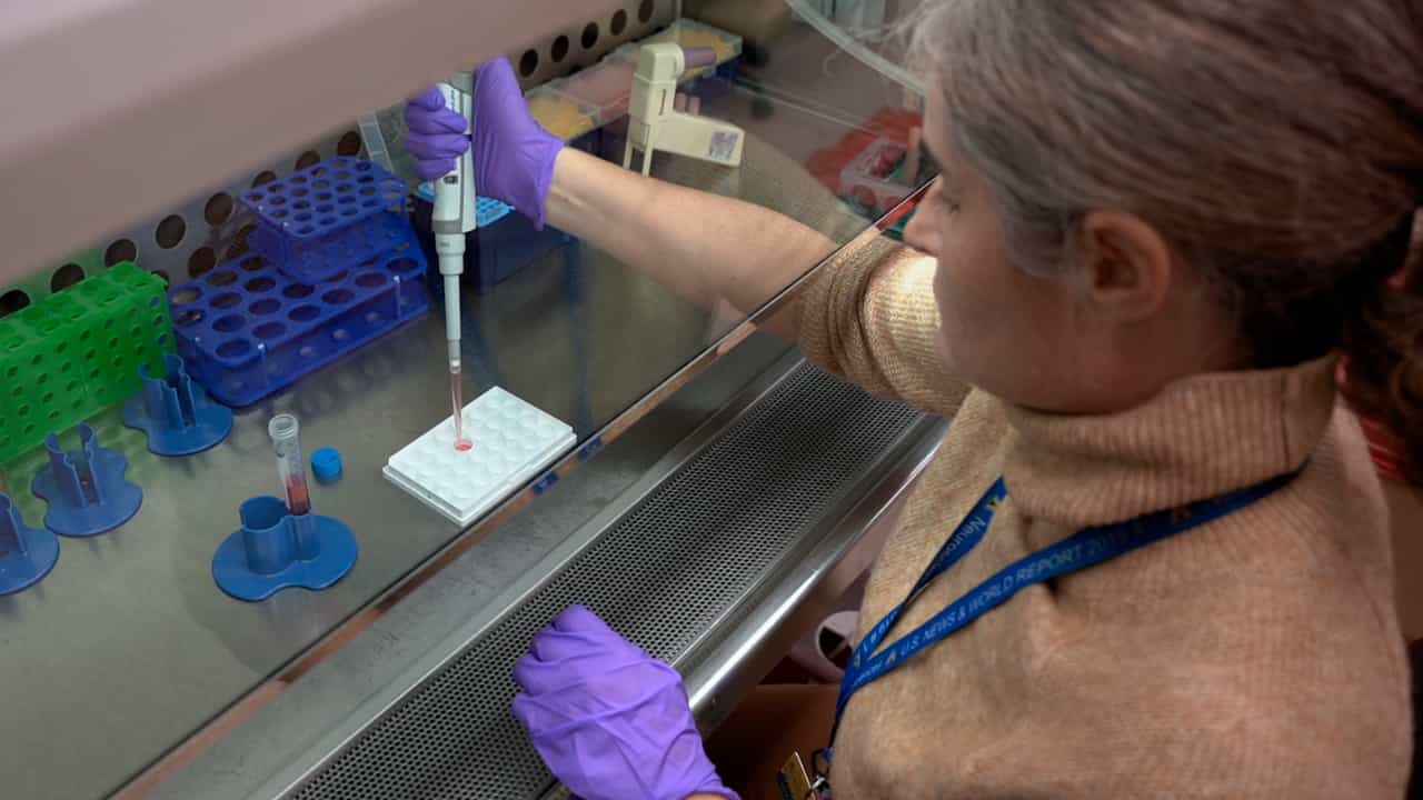 Focused Ultrasound Neuromodulation of Human In Vitro Neural Cultures in Multi-Well Microelectrode Arrays