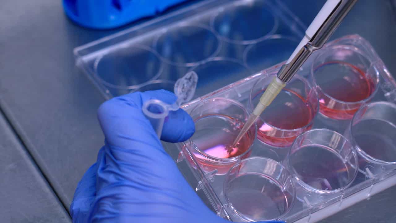 Author Spotlight: Transmitochondrial Cybrid Generation Using Cancer Cell Lines