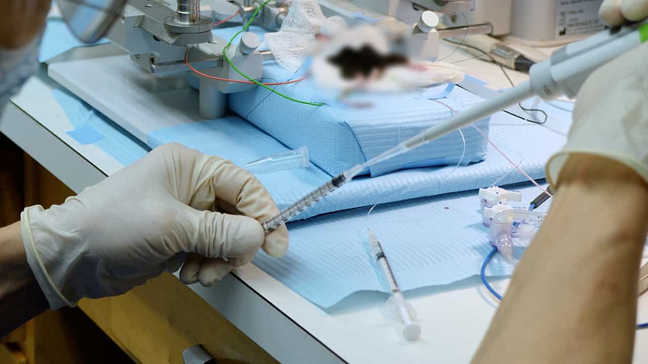 Author Spotlight: A Unique Mouse Model of Asphyxia-Induced Cardiac Arrest