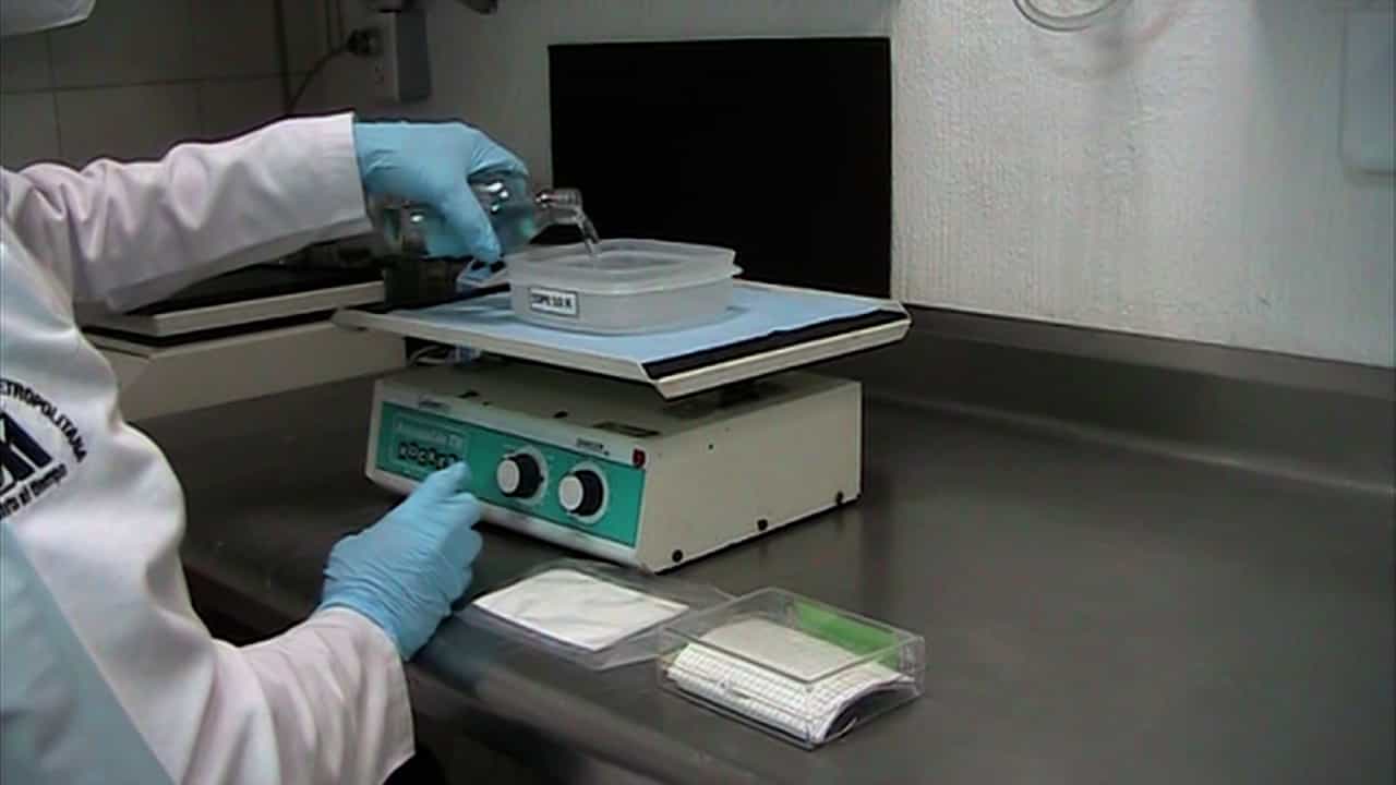 Author Spotlight: Leptospira DNA Detection in Water for Environmental Analysis and Disease Surveillance