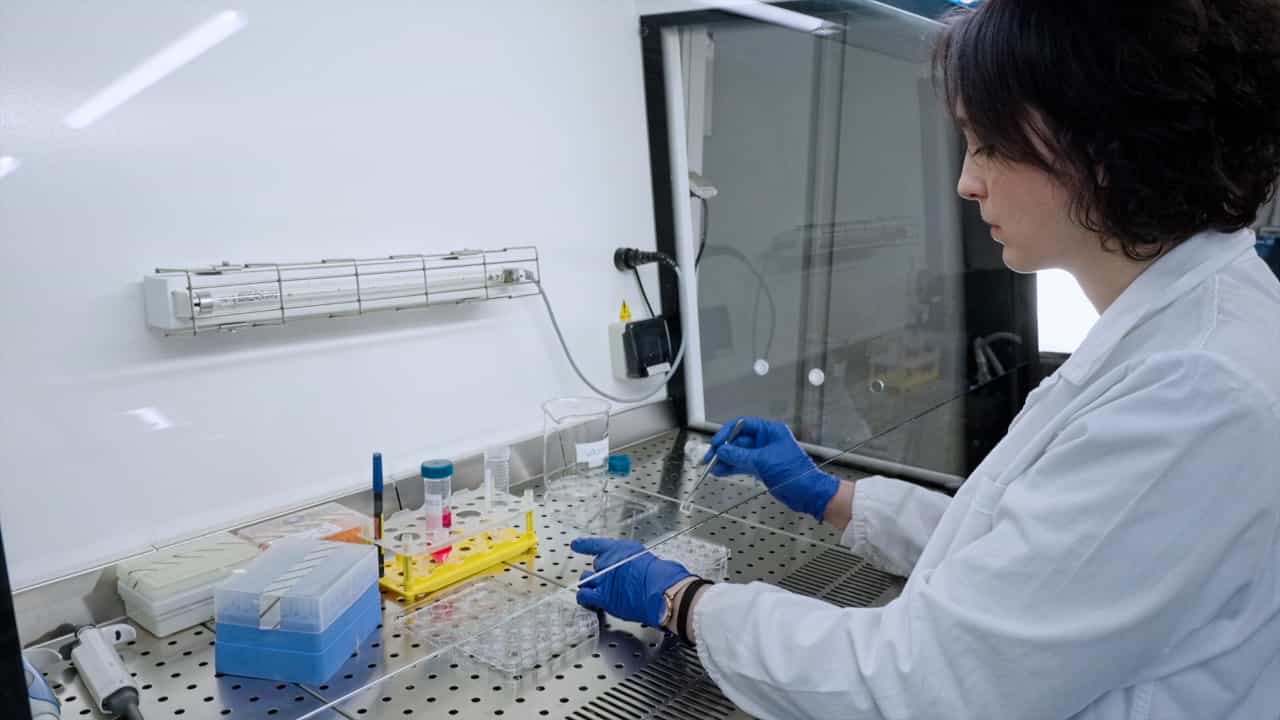Author Spotlight: Investigating the Effects of Compounds on Intestinal Tissue Using 3D Human Cell Line Models