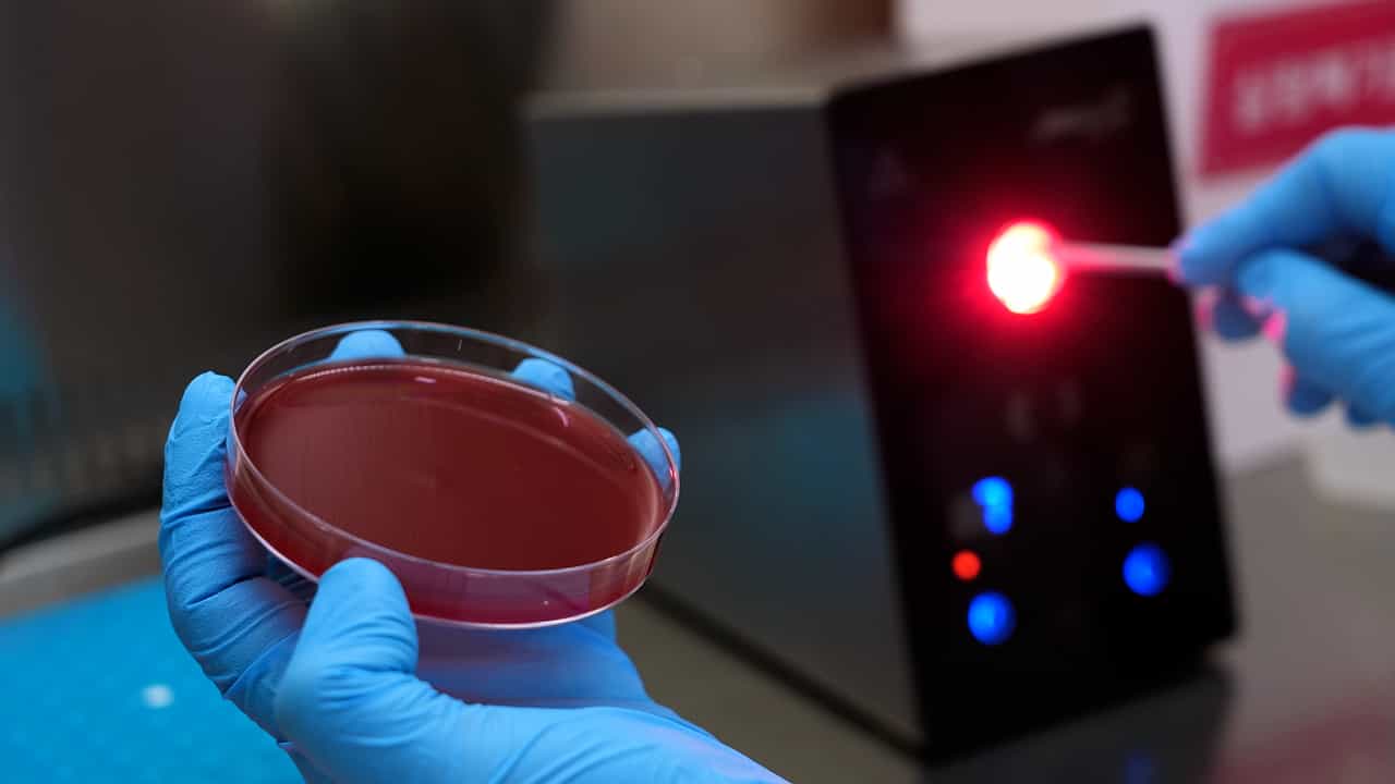 Author Spotlight: A Comprehensive Protocol for Acinetobacter Biofilm Quantification, Assessment, and Visualization