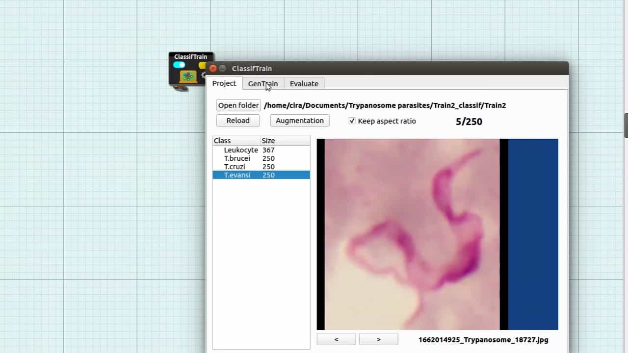 Author Spotlight: AI-Driven Trypanosome Species Detection from Microscopic Images