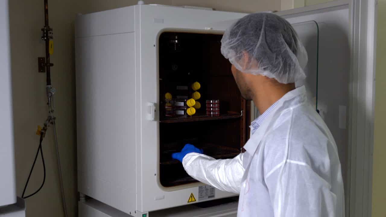 Author Spotlight: High-Throughput Screening of CAR T-Cell Constructs for Enhanced Cytotoxicity and Immunologic Memory