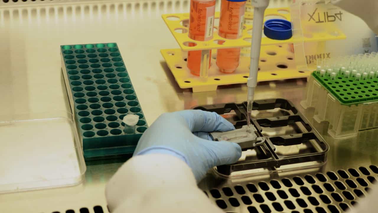 Author Spotlight: Enhancing Understanding and Treatment Strategies with the NEC-on-a-Chip Model